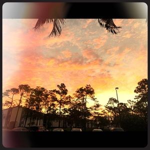 SALES!!! All must GO! Lowest prices start now!